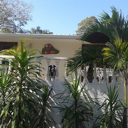 Hibiscus House Bed And Breakfast Contadora Island Extérieur photo