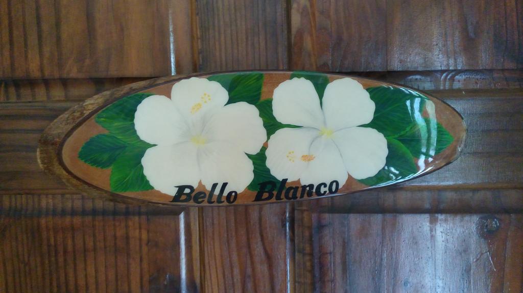 Hibiscus House Bed And Breakfast Contadora Island Extérieur photo