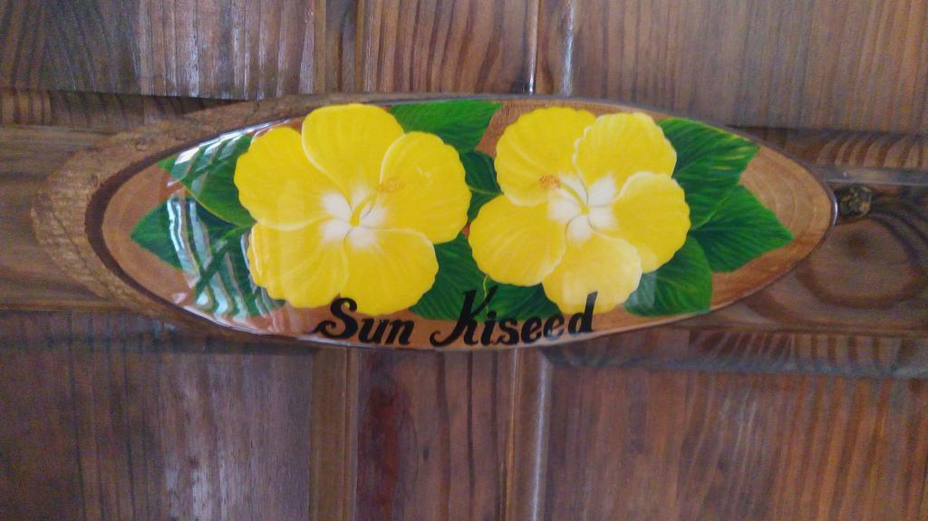 Hibiscus House Bed And Breakfast Contadora Island Extérieur photo